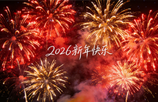麗水威儀自動(dòng)化技術(shù)有限公司祝大家新年快樂(lè)！